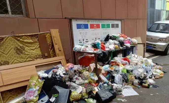 最新调研表明：垃圾分类工作取得实质性成效，但前端分类投放痛点仍普遍存在